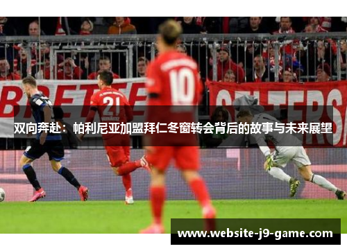 双向奔赴:帕利尼亚加盟拜仁冬窗转会背后的故事与未来展望 双向奔赴:帕利尼亚加盟拜仁冬窗转会背后的故事与未来展望