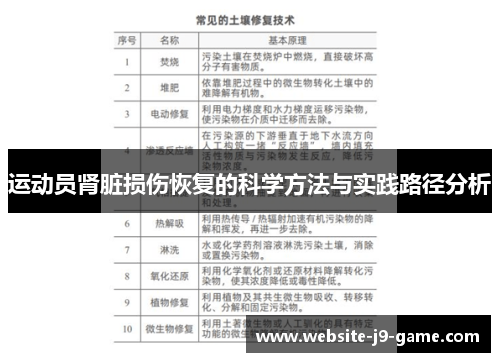 运动员肾脏损伤恢复的科学方法与实践路径分析 运动员肾脏损伤恢复的科学方法与实践路径分析