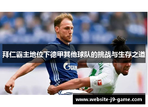 拜仁霸主地位下德甲其他球队的挑战与生存之道 拜仁霸主地位下德甲其他球队的挑战与生存之道