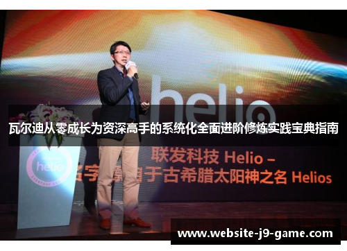 瓦尔迪从零成长为资深高手的系统化全面进阶修炼实践宝典指南