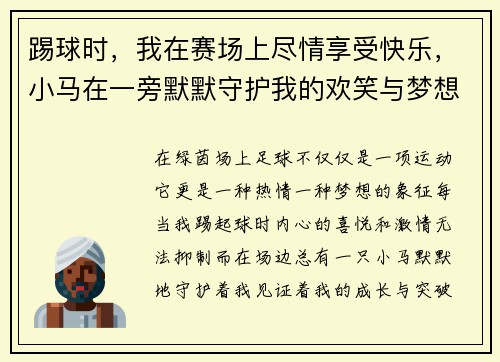 踢球时,我在赛场上尽情享受快乐,小马在一旁默默守护我的欢笑与梦想 踢球时,我在赛场上尽情享受快乐,小马在一旁默默守护我的欢笑与梦想